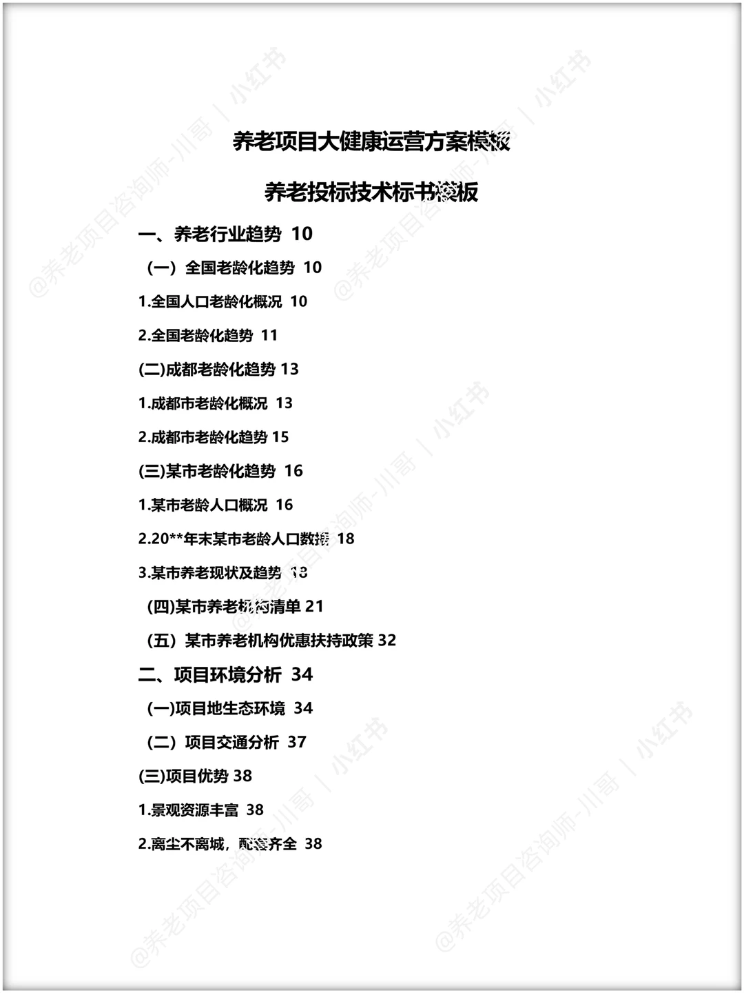 养老项目大健康运营方案/养老项目技术标书