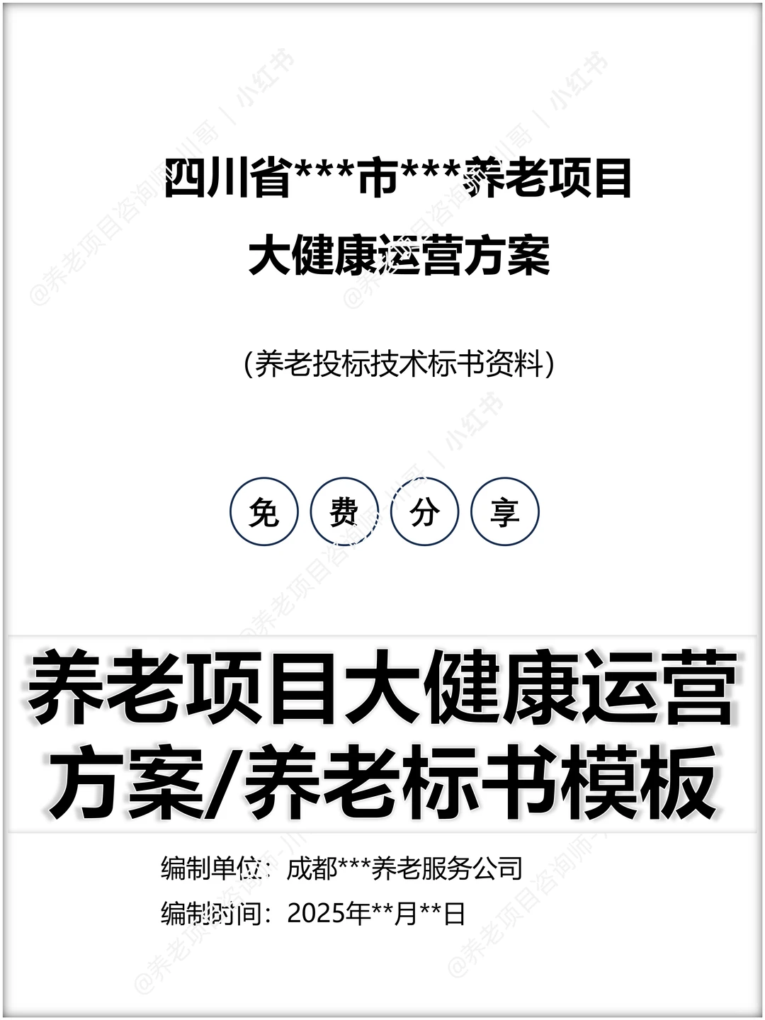 养老项目大健康运营方案/养老项目技术标书
