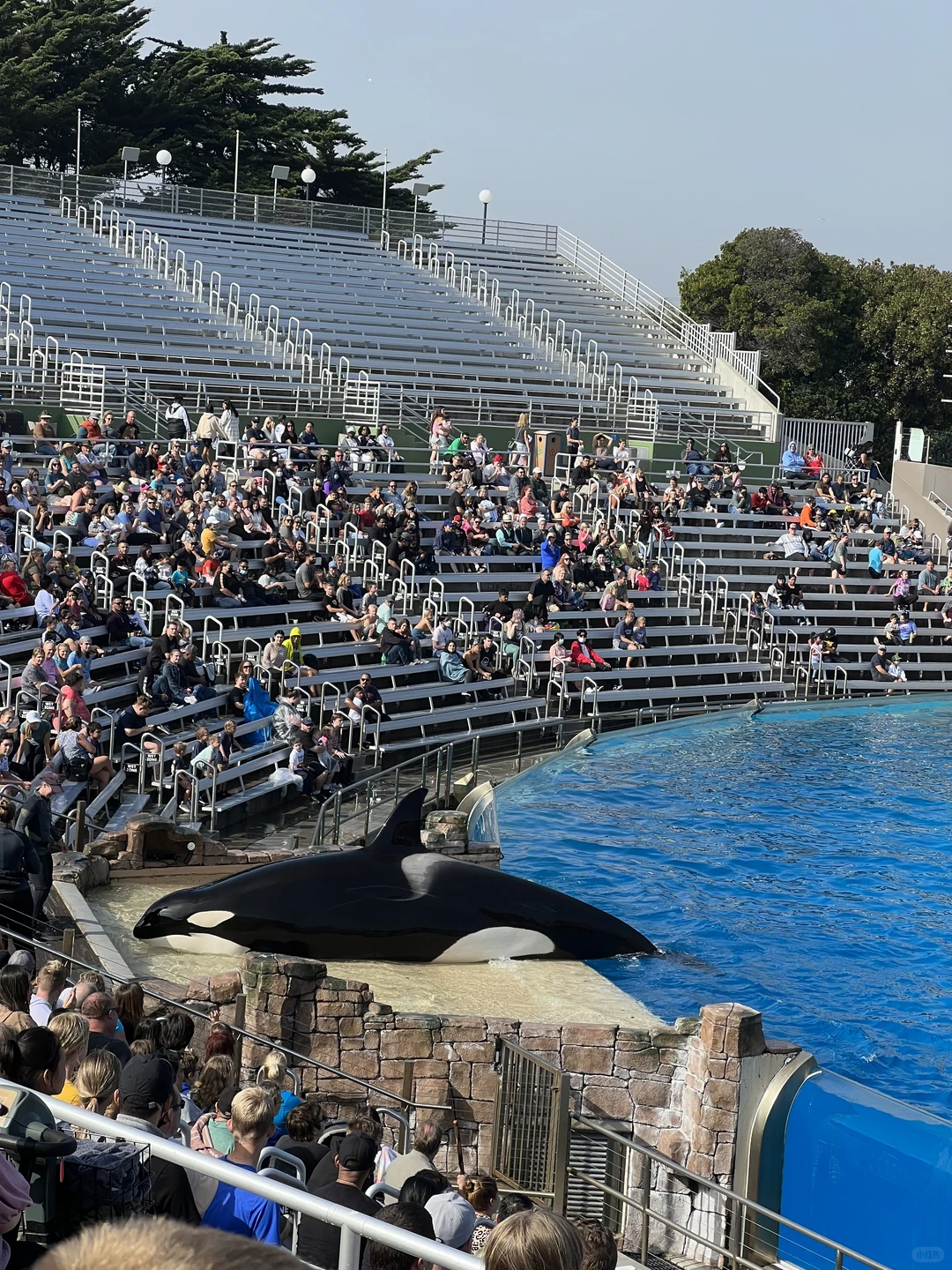 金融科技的尽头,不是技术门槛而是监管规则