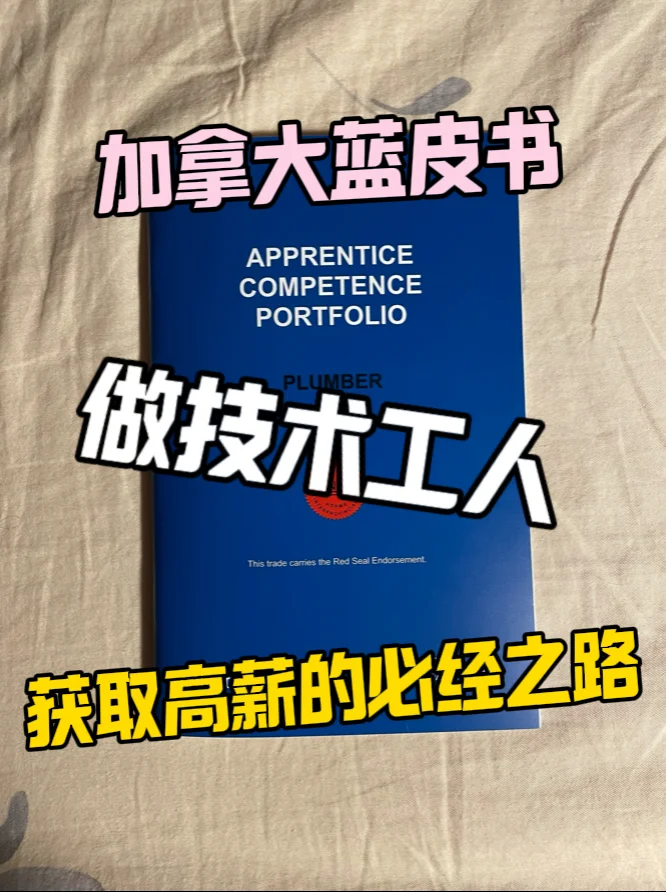 深度解析??水管工蓝皮书?