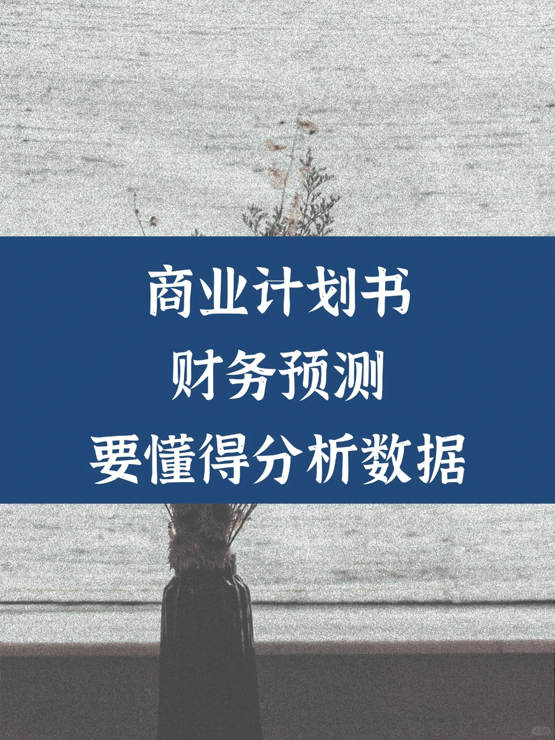 商业计划书财务预测,要懂得分析数据
