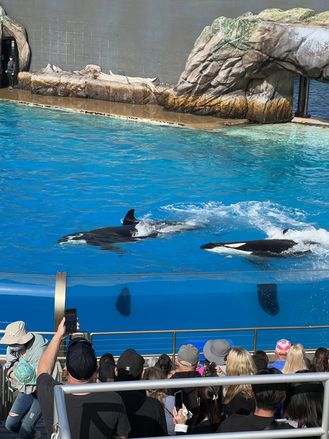 金融科技的尽头,不是技术门槛而是监管规则