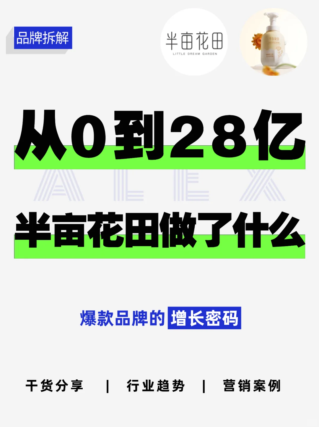 赶超欧舒丹：黑马国货半亩花田的逆袭之路