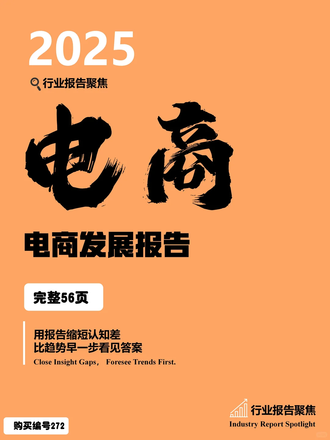✨2025 年电商发展报告