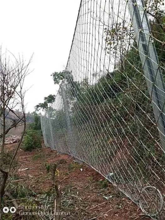 广西被动网品牌研究报告(2025)