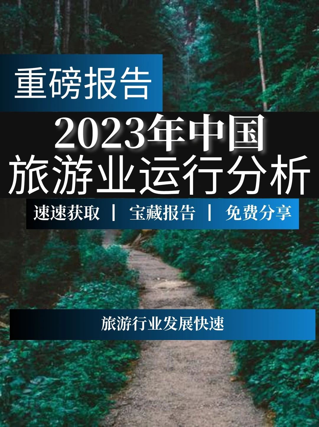 重磅报告:2023年中国旅游业运行发展