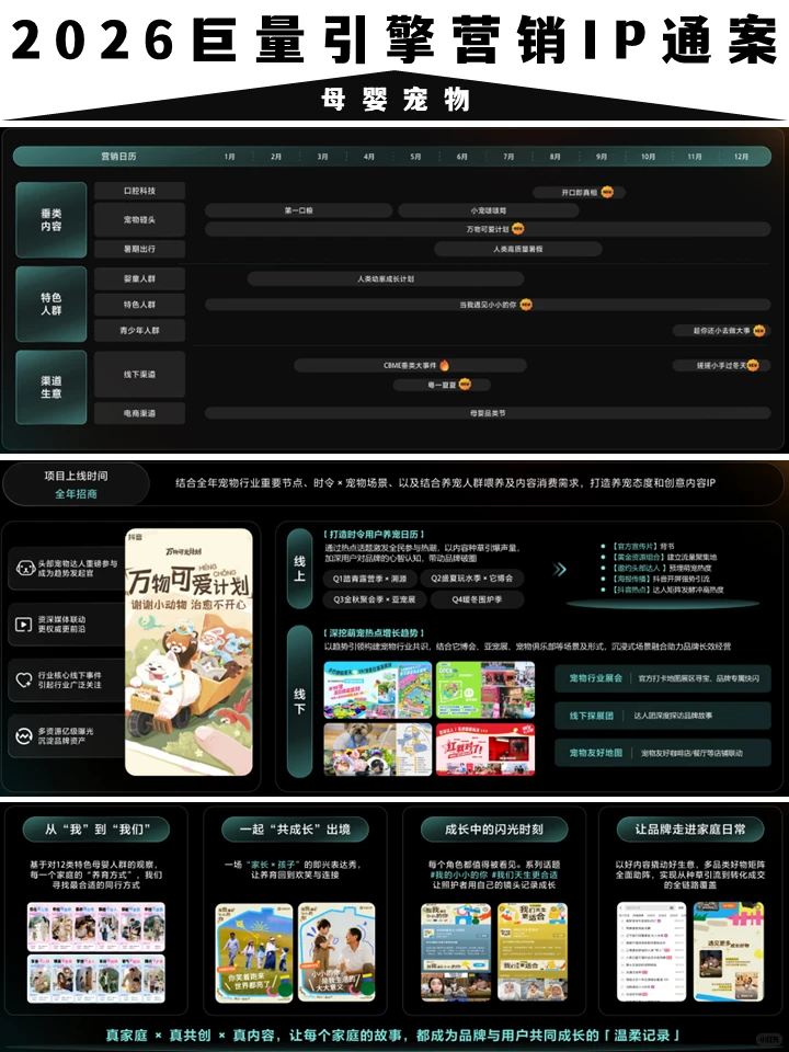营销方案:2026巨量营销IP通案
