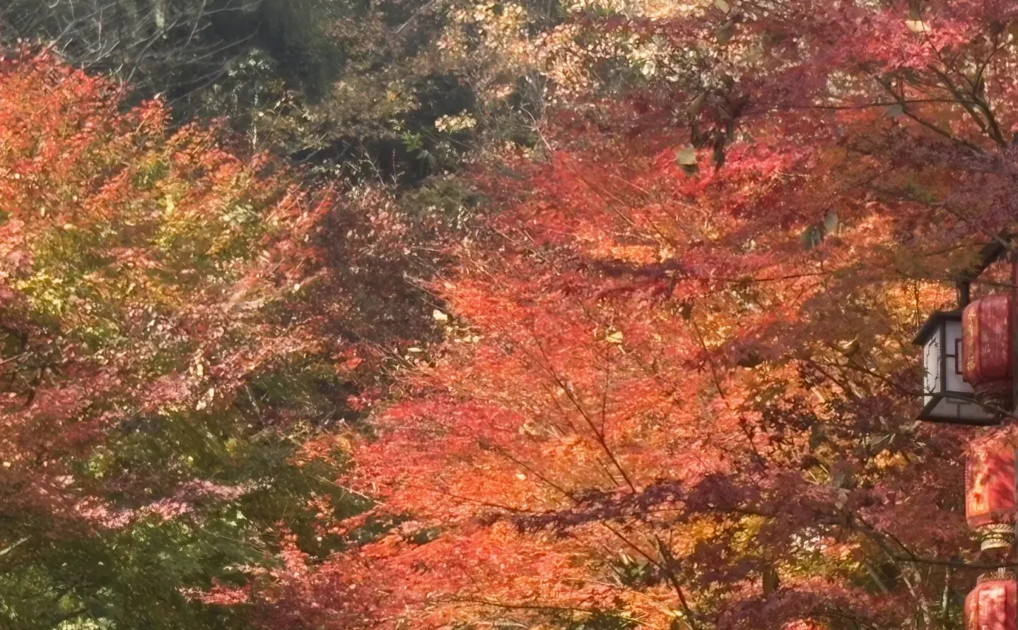 财报分析-重构资产负债表