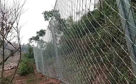 广西被动网品牌研究报告(2025)