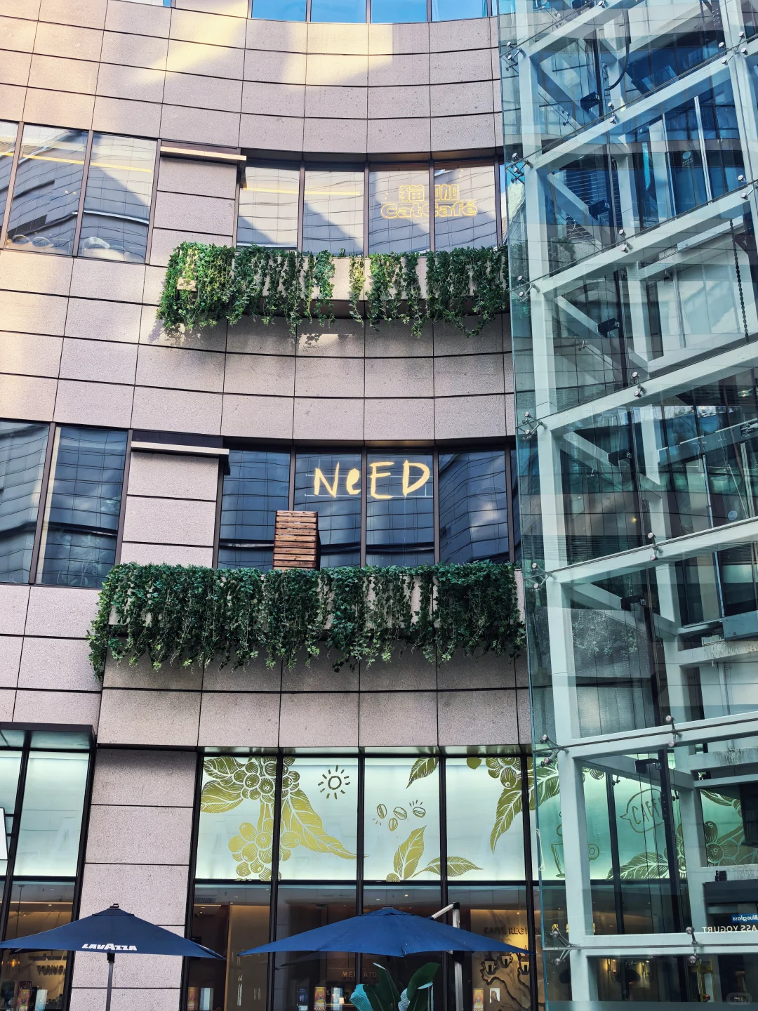 为什么商场会争相引入“漂亮饭”?