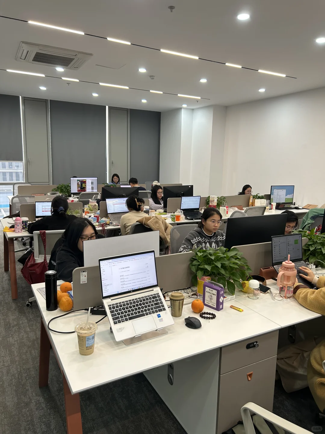 内容营销体系课|全链路打通小红书商业闭环