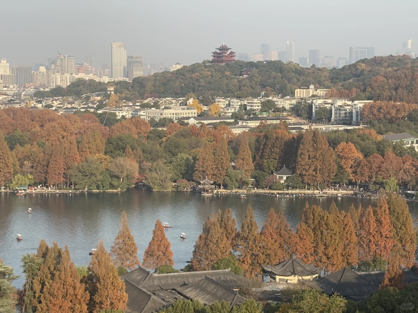 财报分析-重构资产负债表