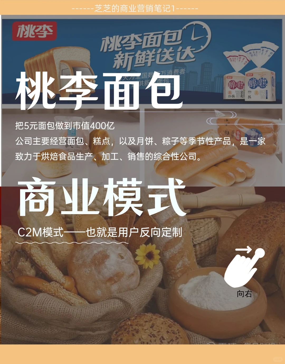 每天学习一家公司16|桃李面包商业盈利模式