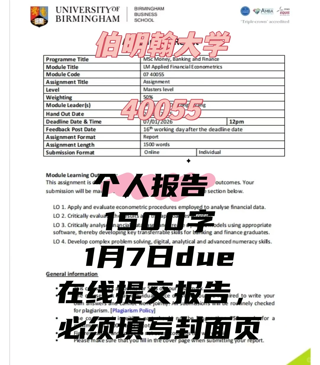 伯明翰大学 40055 应用金融计量经济学