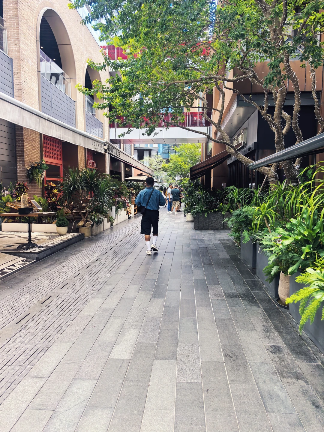 为什么商场会争相引入“漂亮饭”?