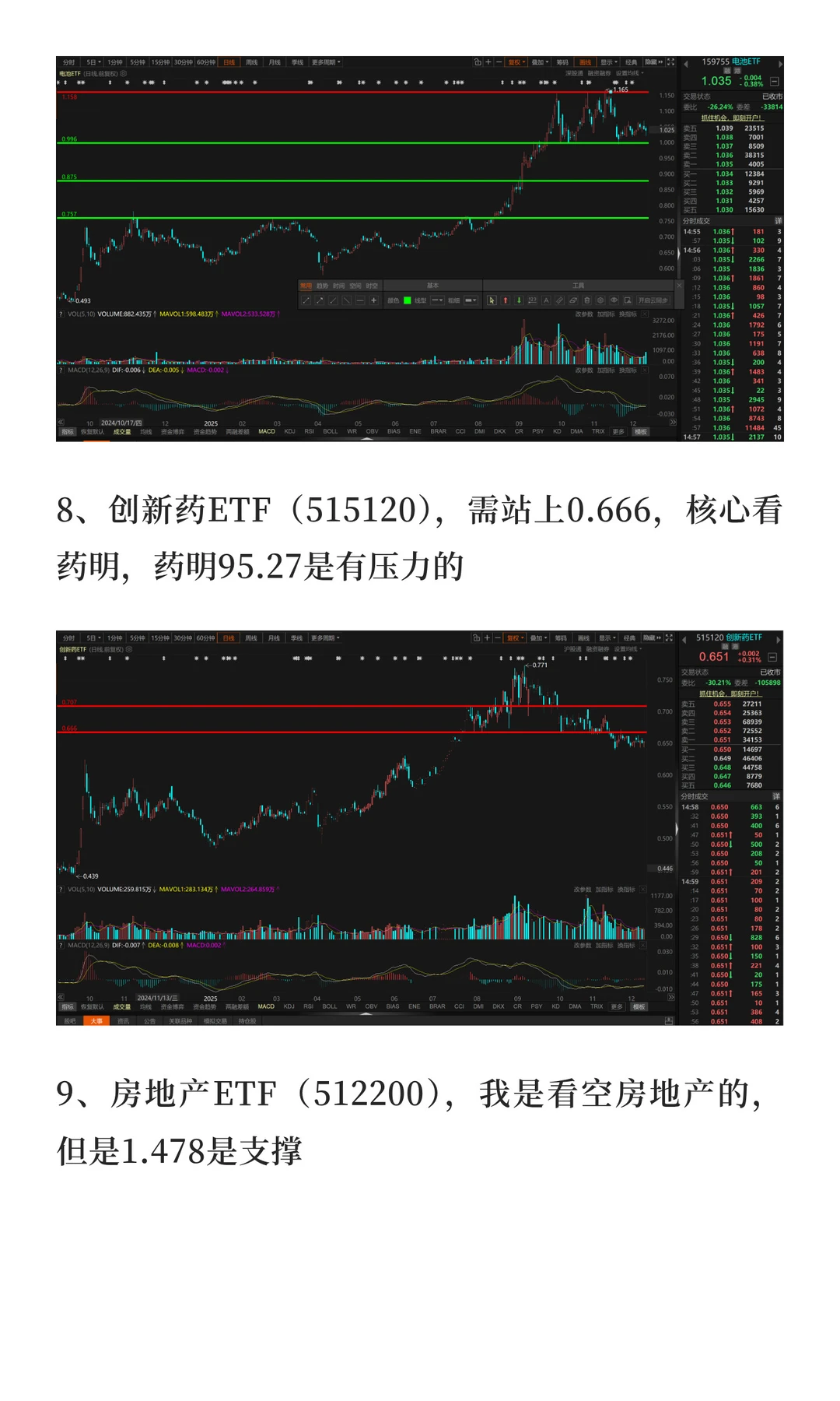 12月15日-12月19日市场展望（2025年）