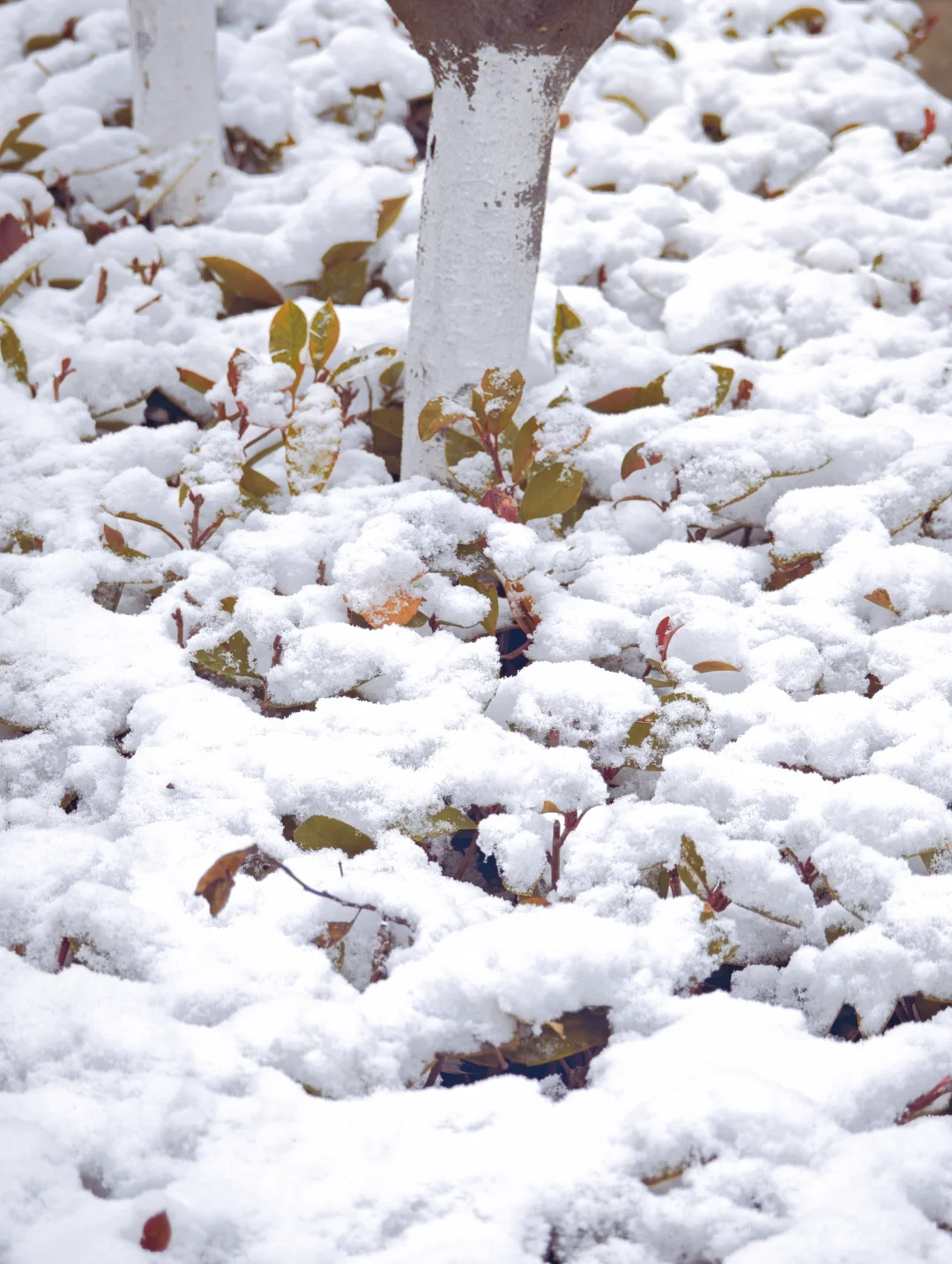 强推❗️我们找到了超好的商业灵感库?