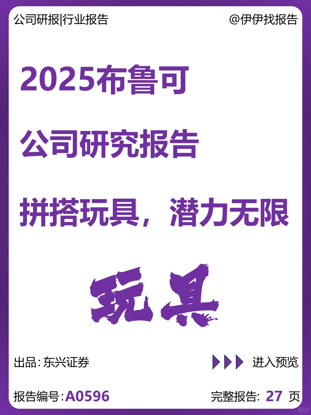 布鲁可公司拼搭玩具研究报告