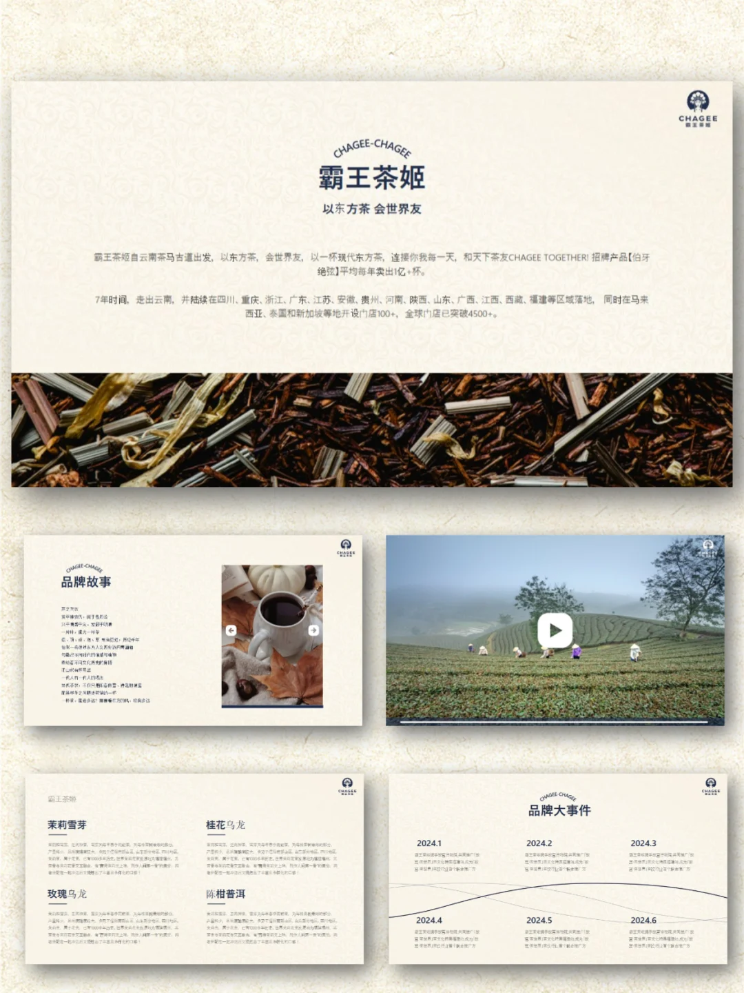 霸王茶姬品牌介绍营销策略分析PPT模板