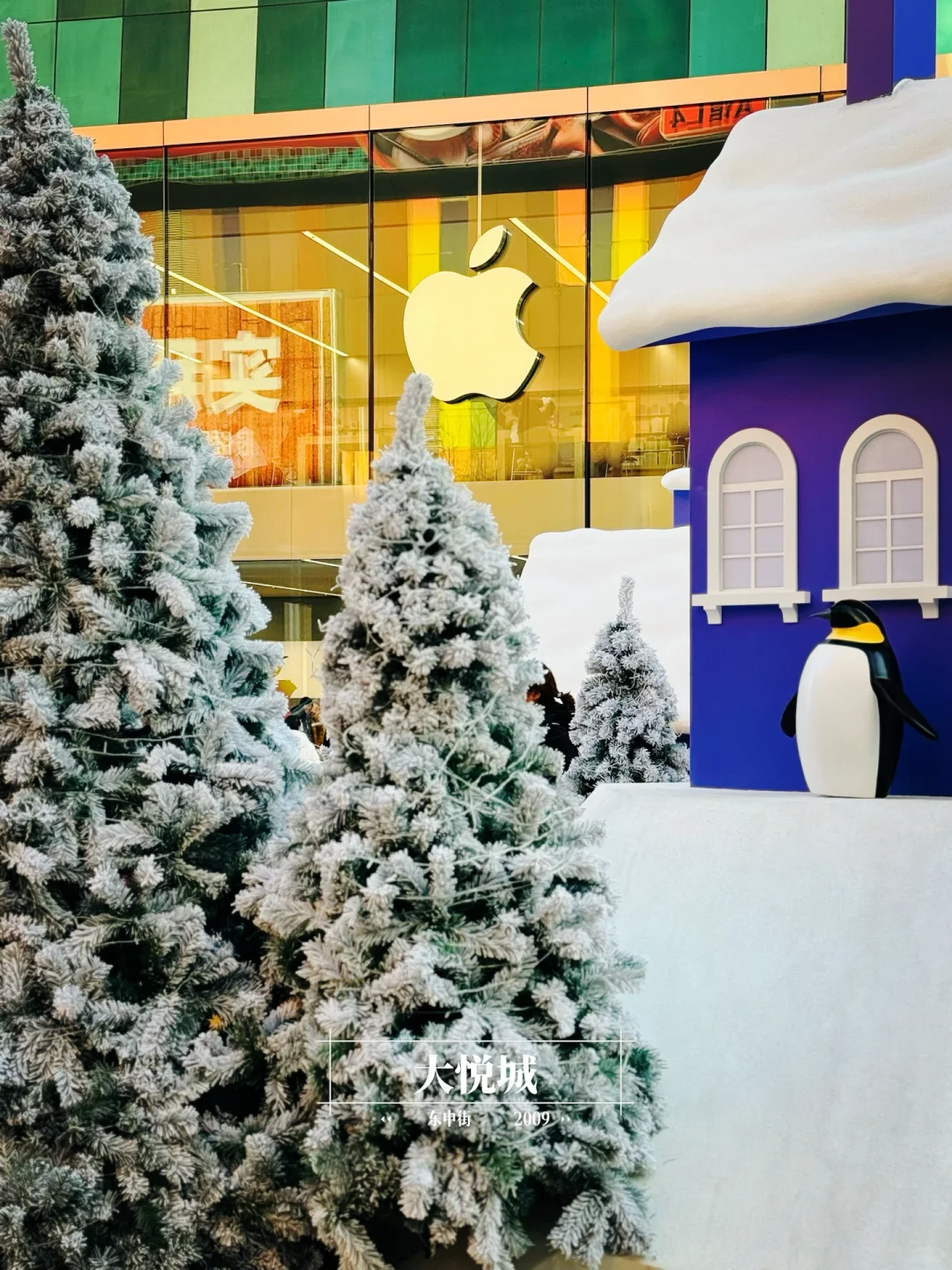 2024｜沈阳商业年终报告 【 ????版 】