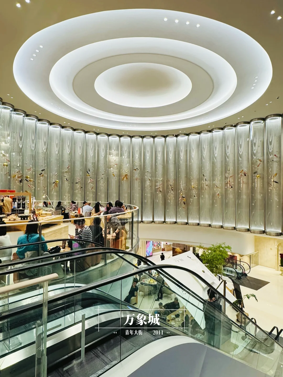 2024｜沈阳商业年终报告 【 ????版 】