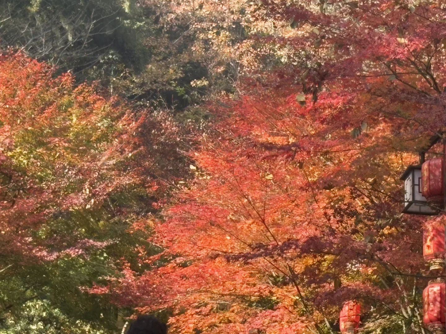 财报分析-重构资产负债表