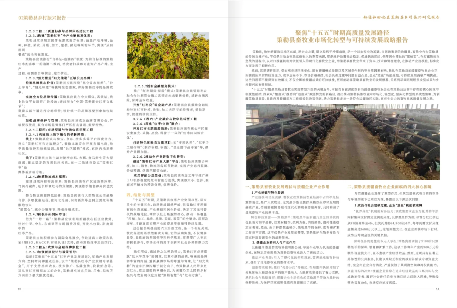 研究报告 | 排版分享