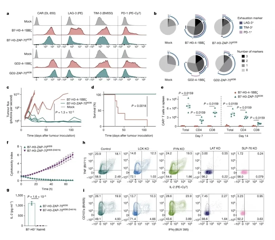 冲击顶刊,生命周期评价代做,教学