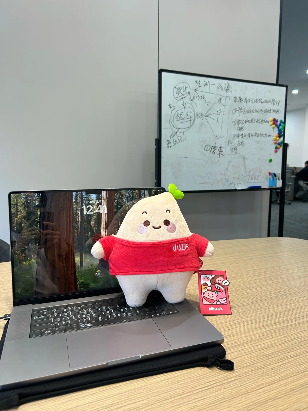 我在杭州开公司,专门给老板做小红书陪跑