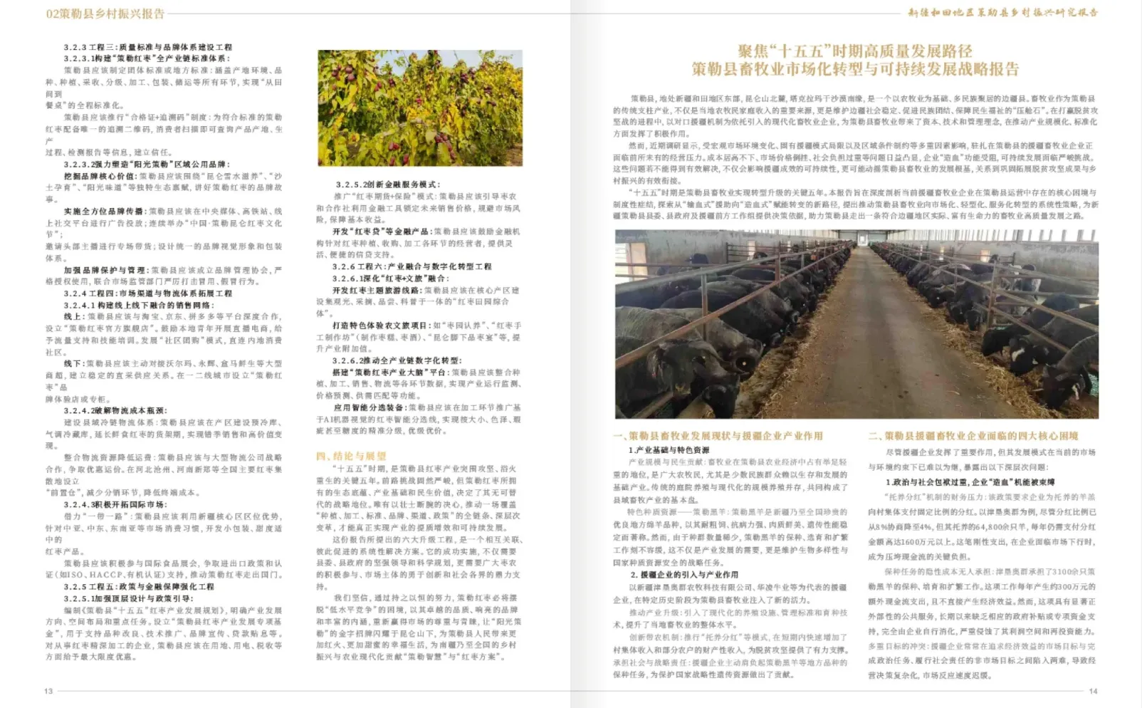 研究报告 | 排版分享