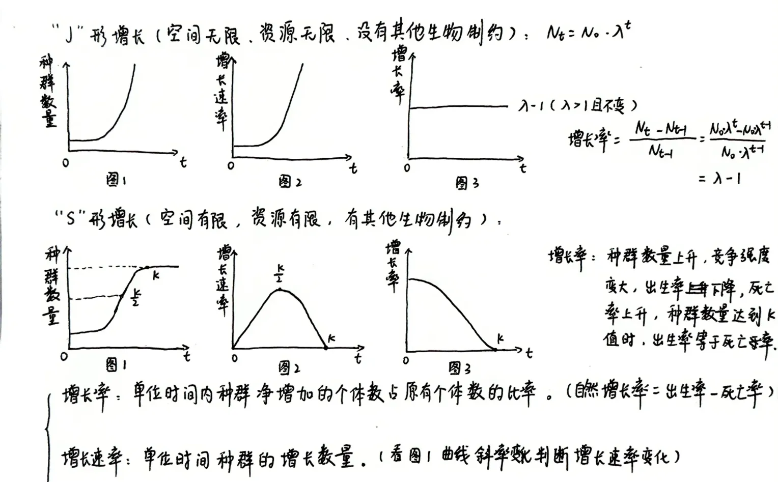 浙科版高中生物--增长率、增长速率