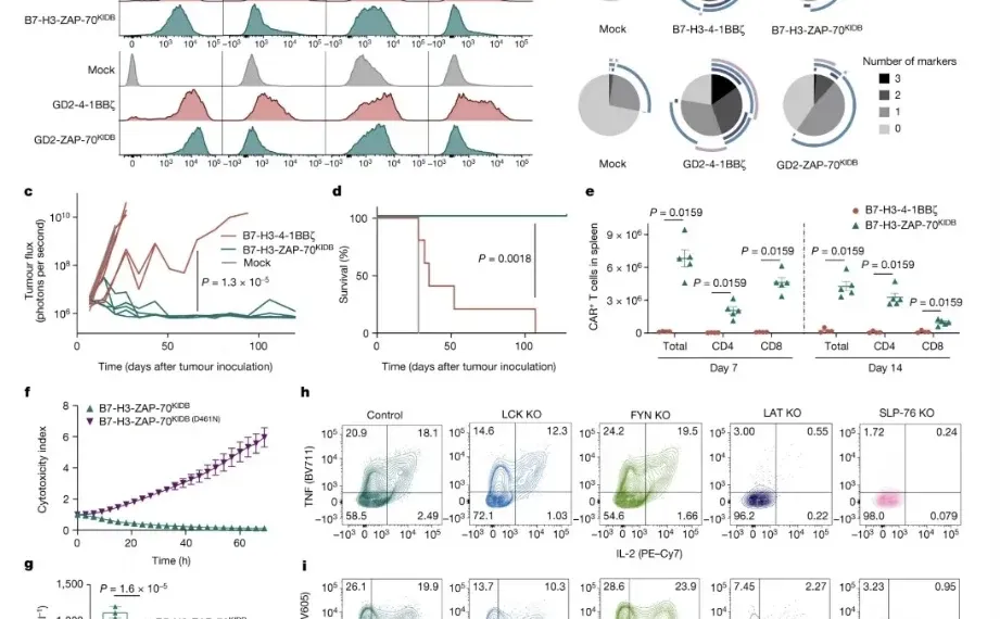冲击顶刊,生命周期评价代做,教学