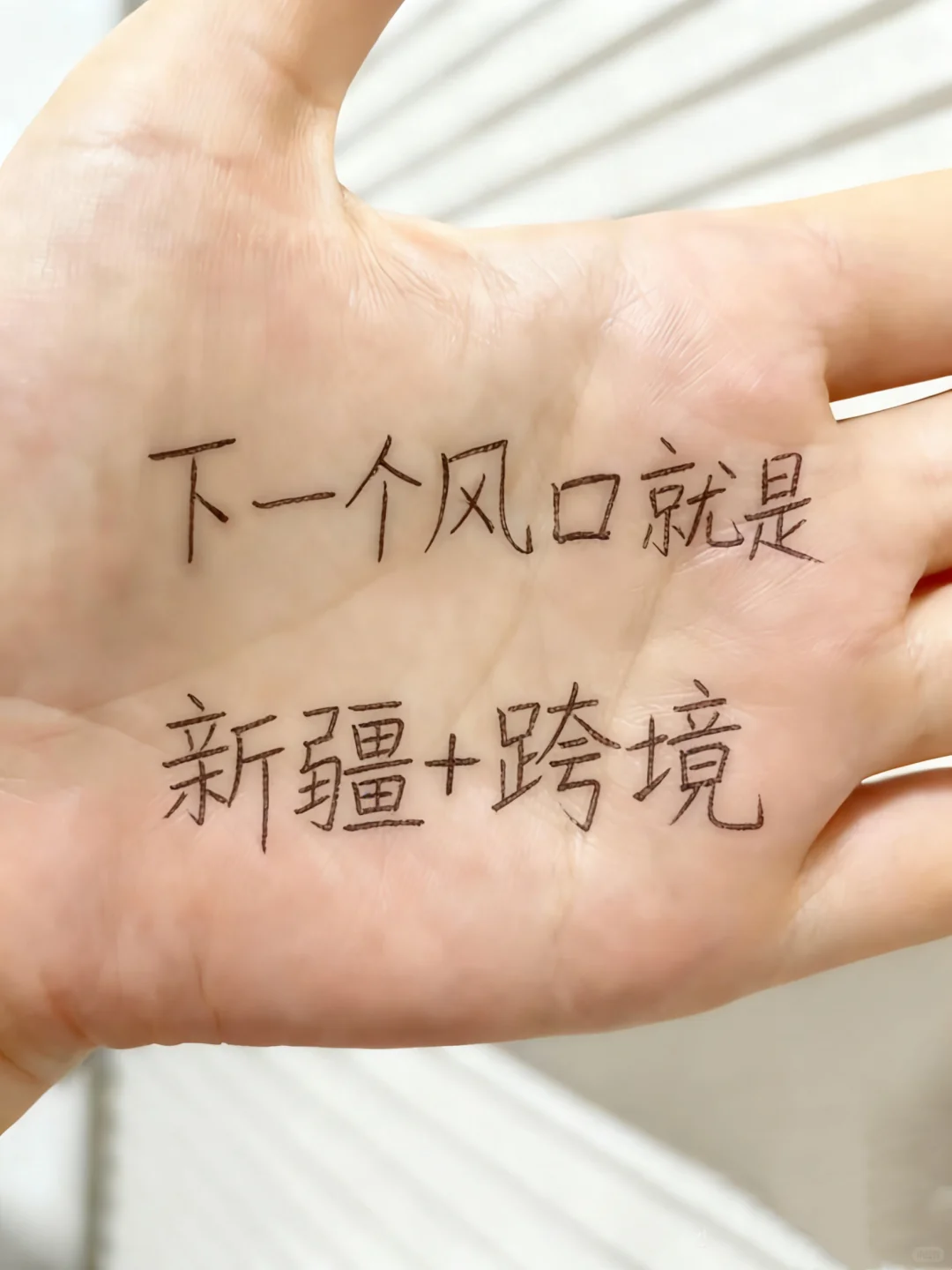 下一个风口是新疆+跨境电商