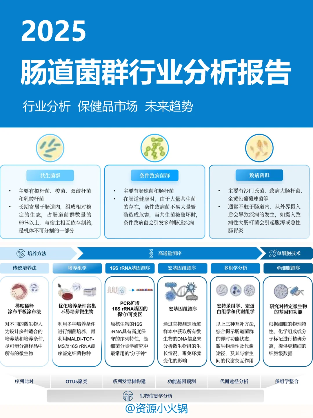 2025年肠道菌群行业分析报告