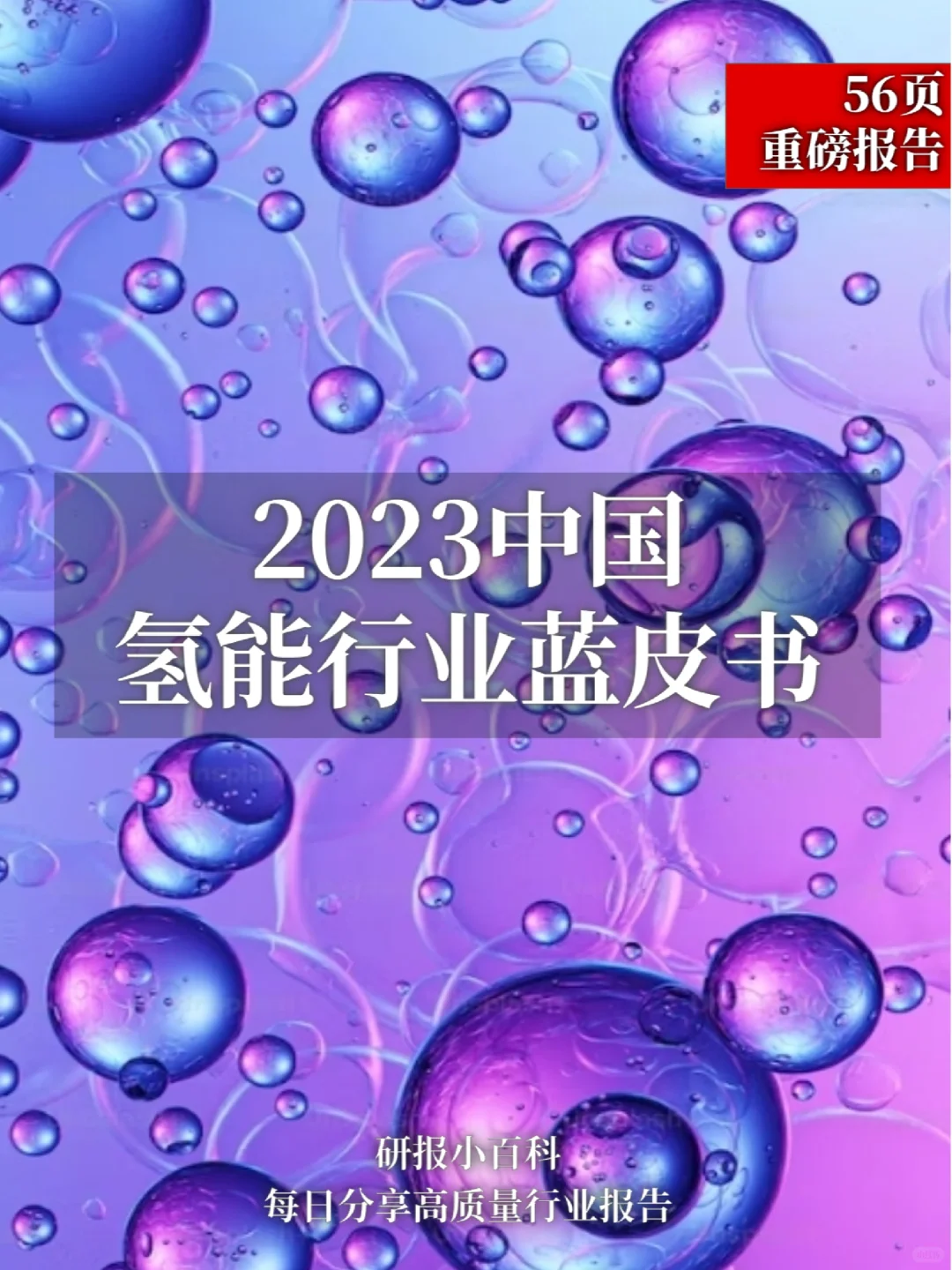 2023中国氢能行业蓝皮书