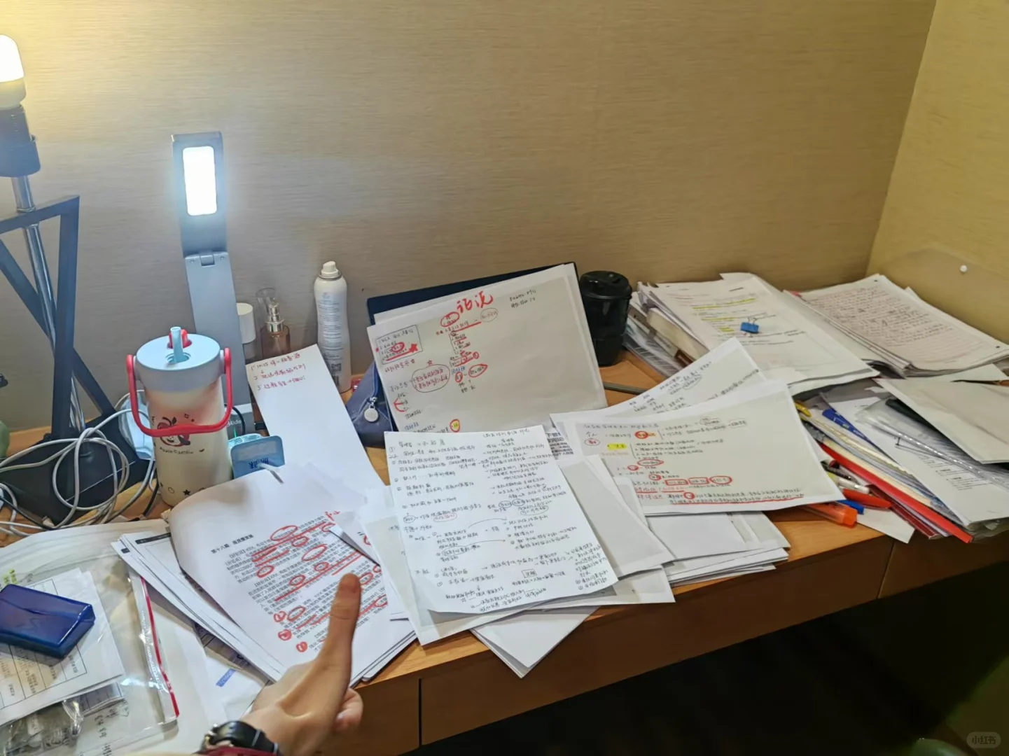 考研最后一周,一战成硕❗️(附管综作文复盘