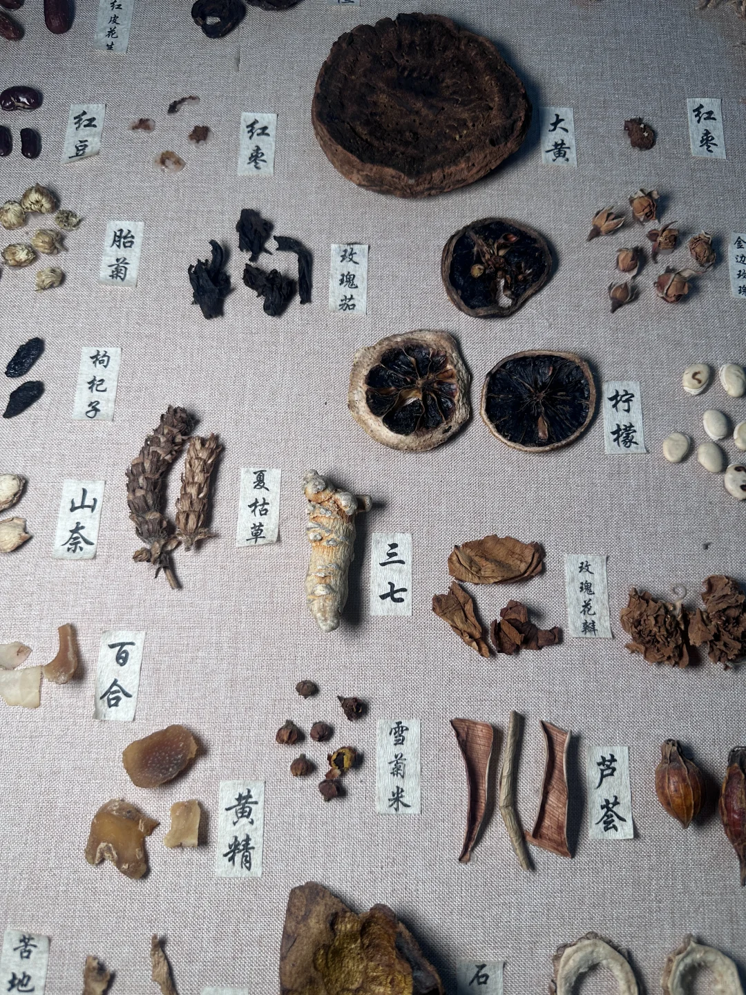 食补好去处！边吃边养生