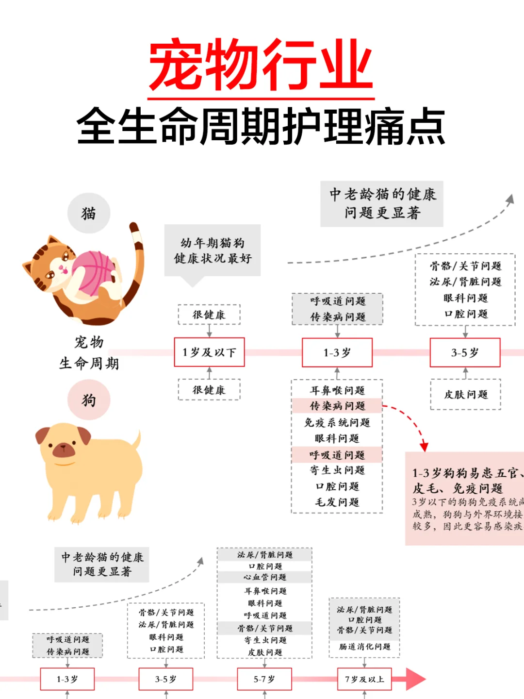 宠物行业应该解决什么样的健康痛点?