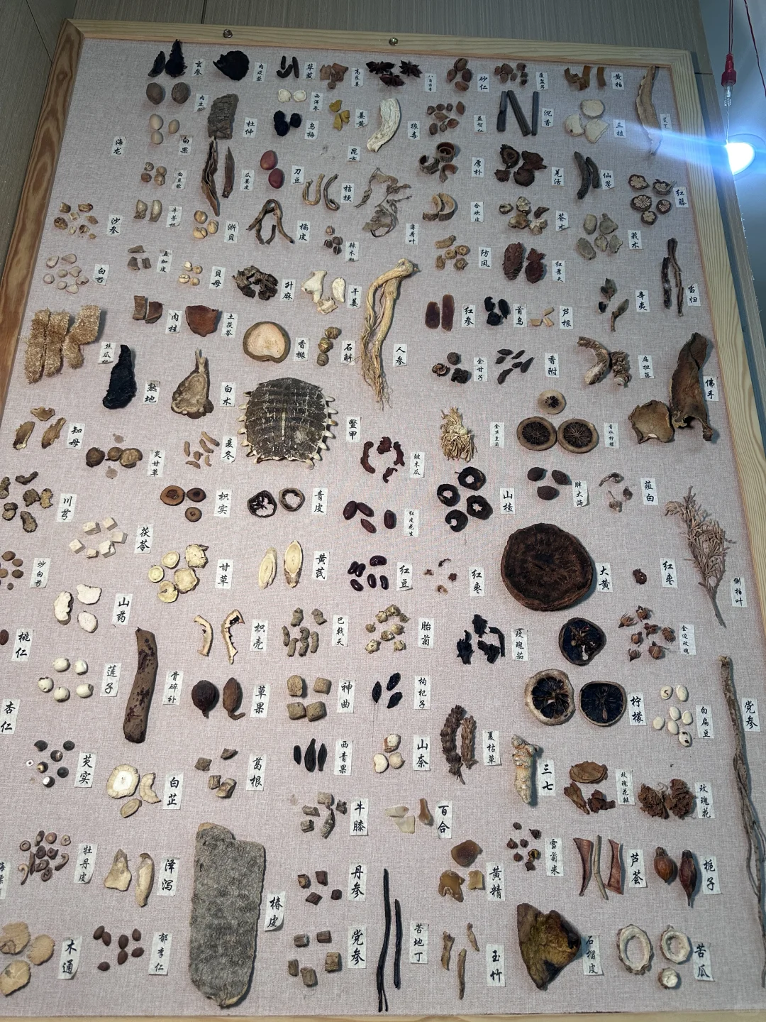 食补好去处！边吃边养生