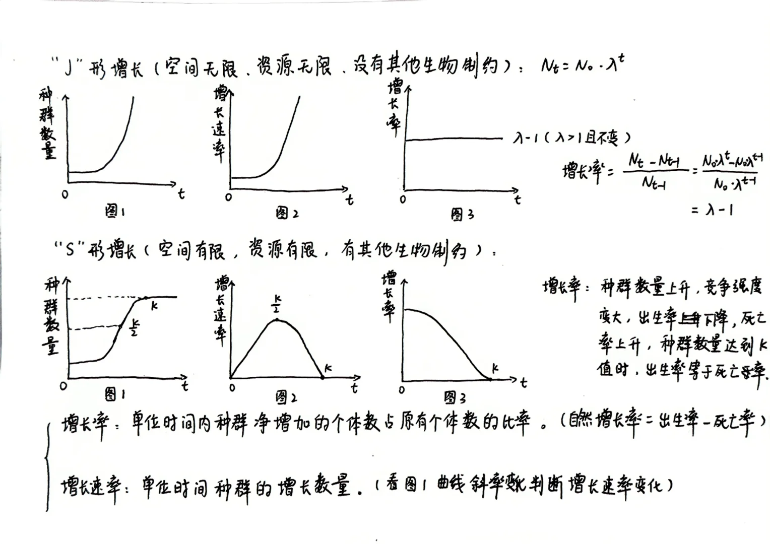 浙科版高中生物--增长率、增长速率