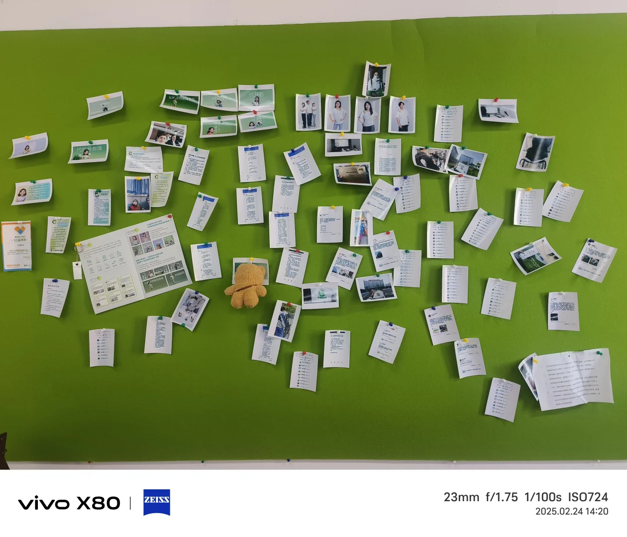 95后辞职勇闯陪诊赛道