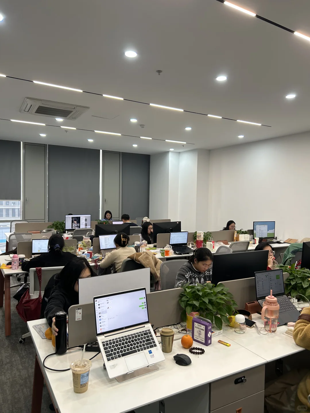 我在杭州开公司,专门给老板做小红书陪跑