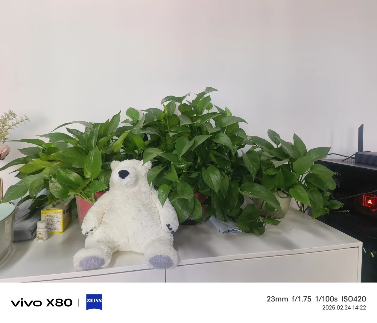 95后辞职勇闯陪诊赛道