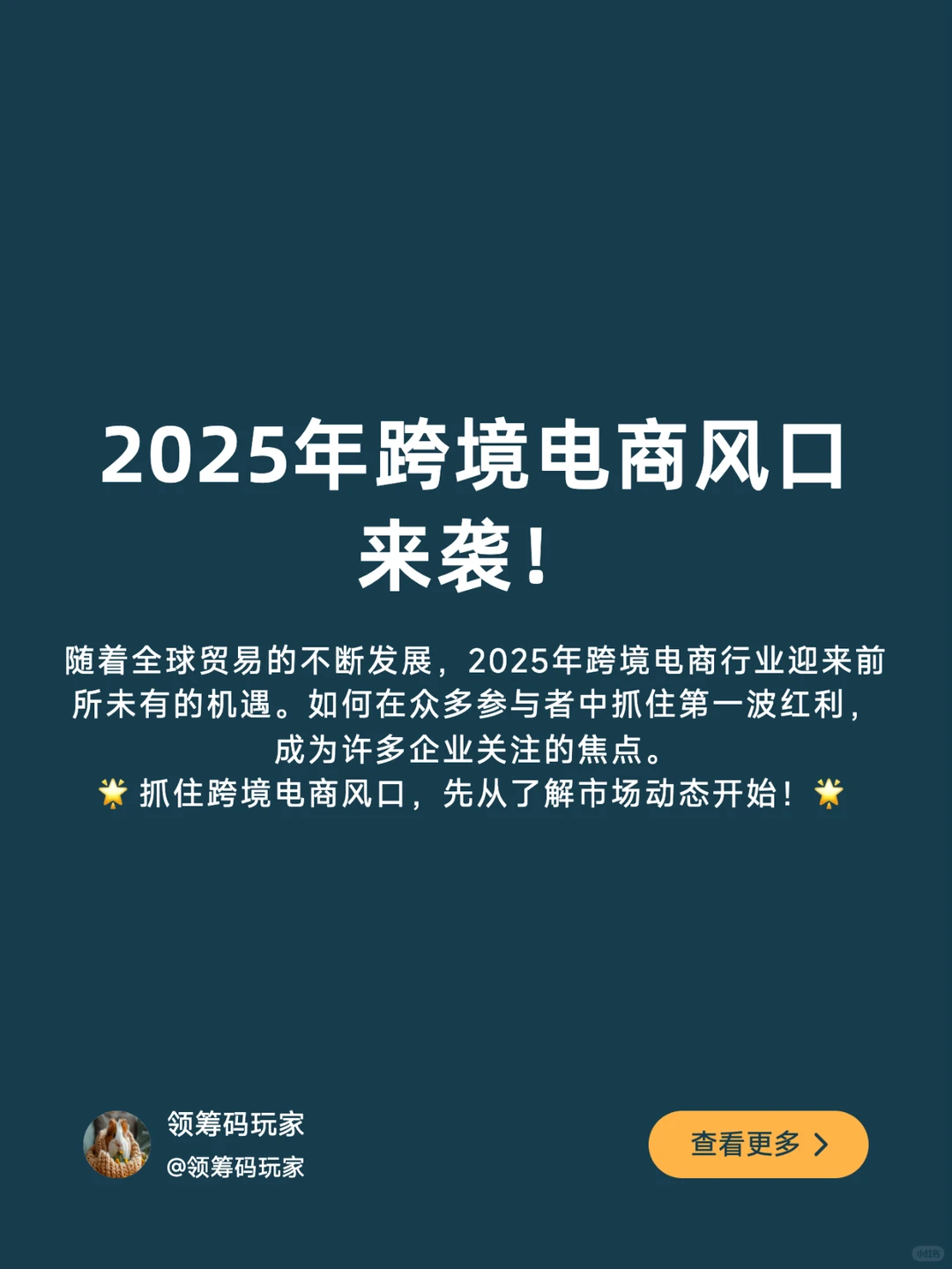 2025年跨境电商风口来了!抓住第一波红利