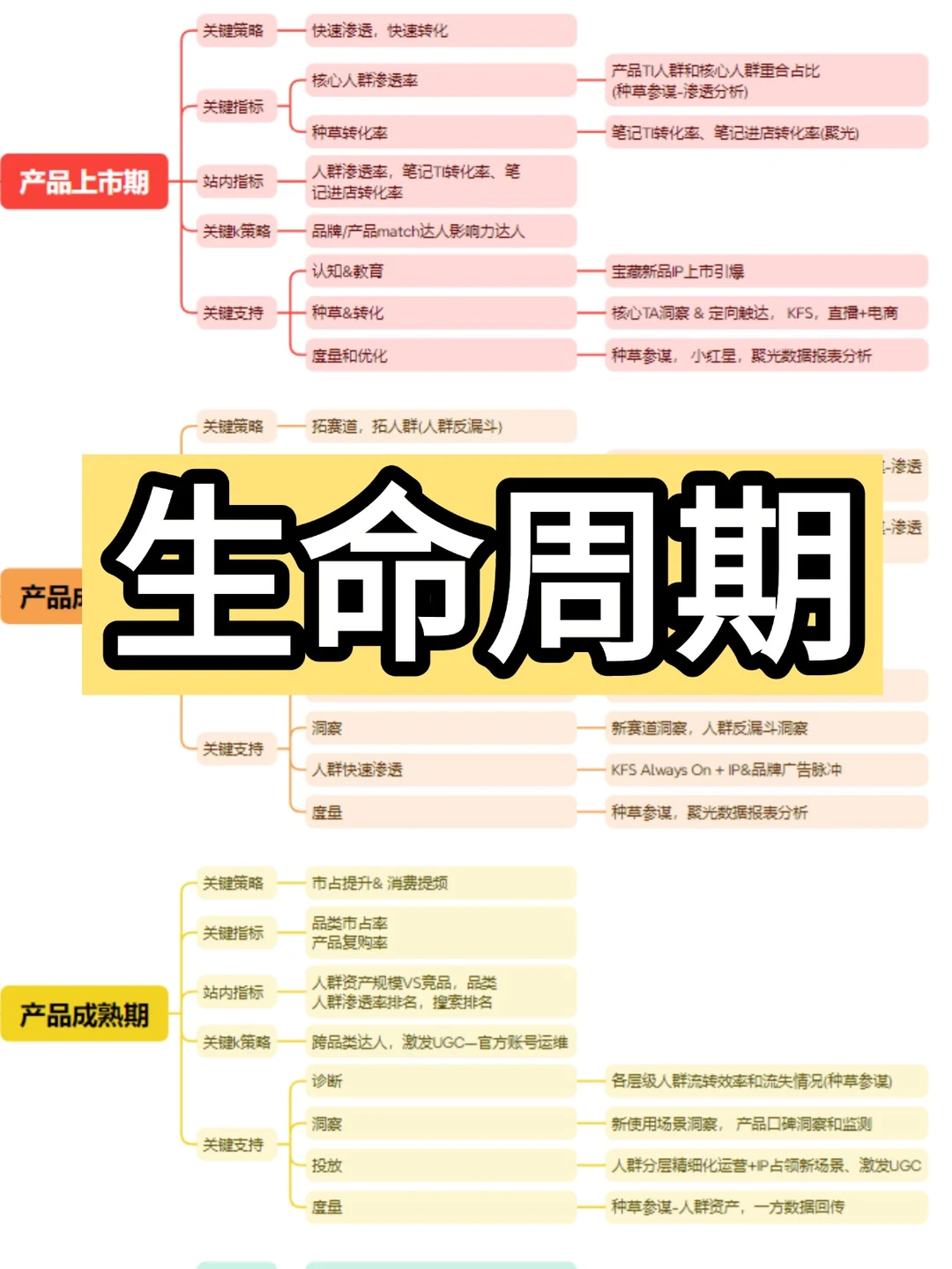 产品生命周期！看这里！补干货！