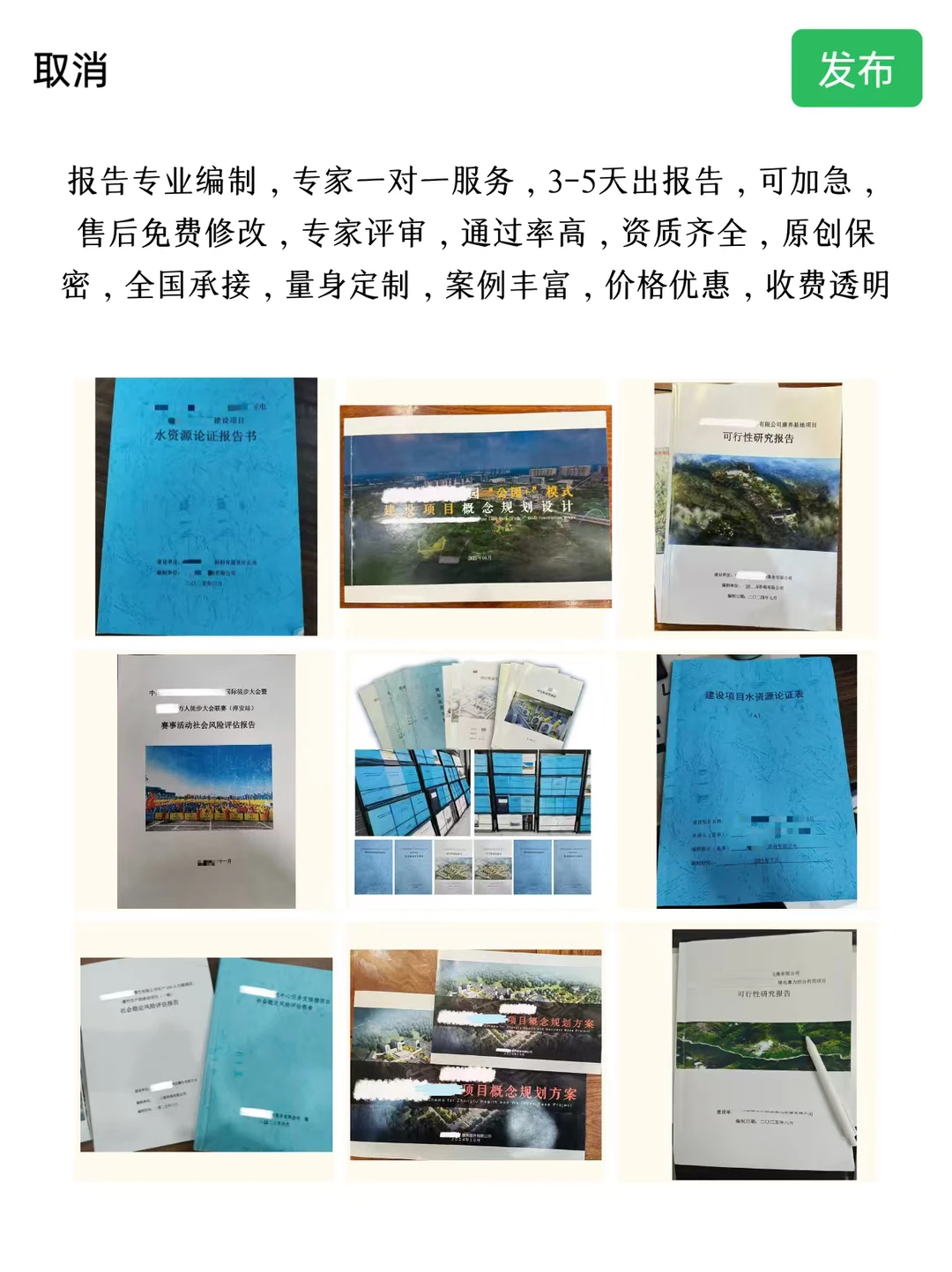 专业代写各类商务报告，出稿快，通过率高