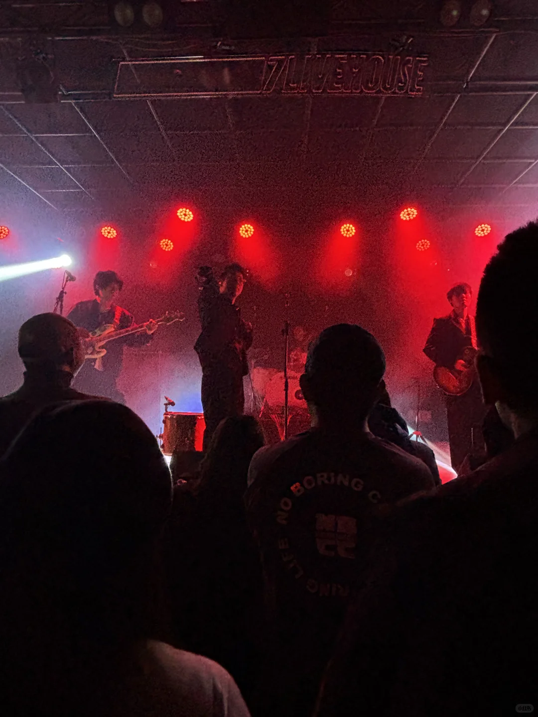 初雪见到白皮书浪漫到极致！