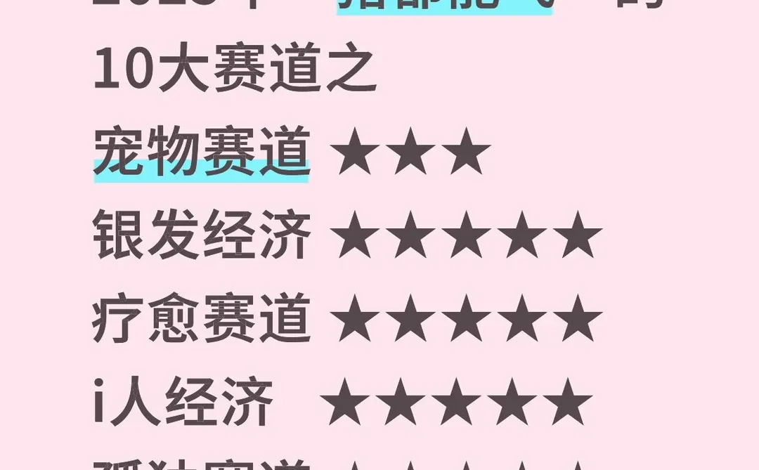 2025年“猪都能飞”的10大赛道