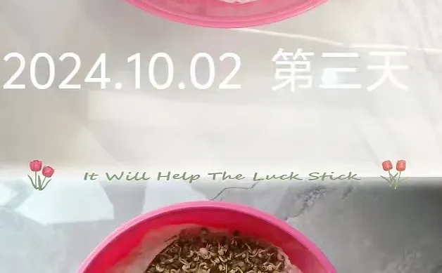 认真完成作业的同学??老师真的很爱❤️