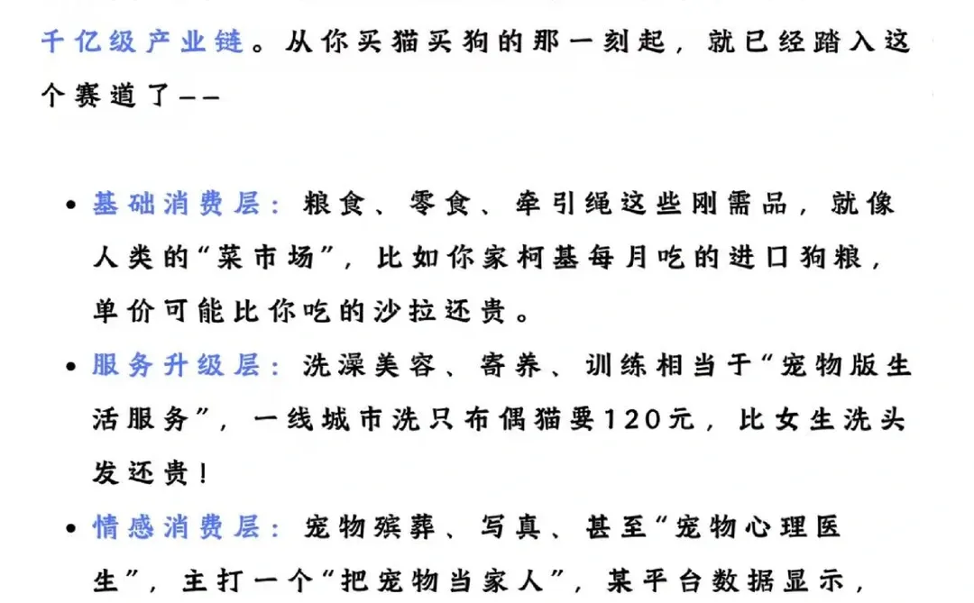 Why宠物行业越来越火？